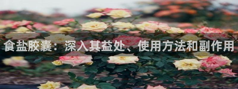 78m.ppt威九国际官网版