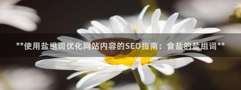威九国际网站入口地址