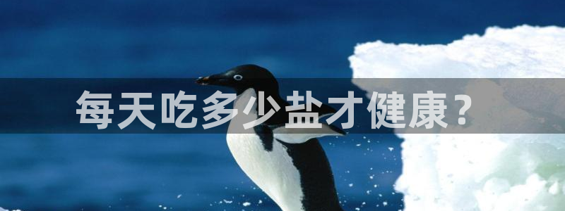 威九国际fX8x