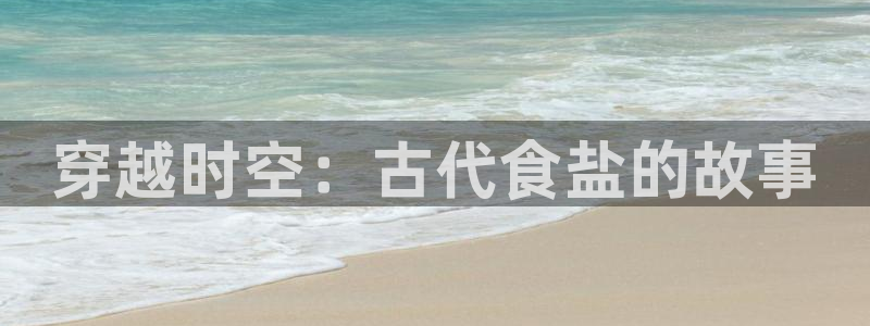 威九国际ppt官网