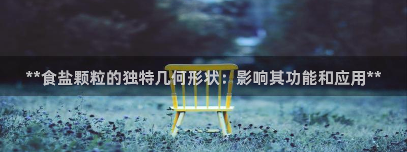 威九国际韩国