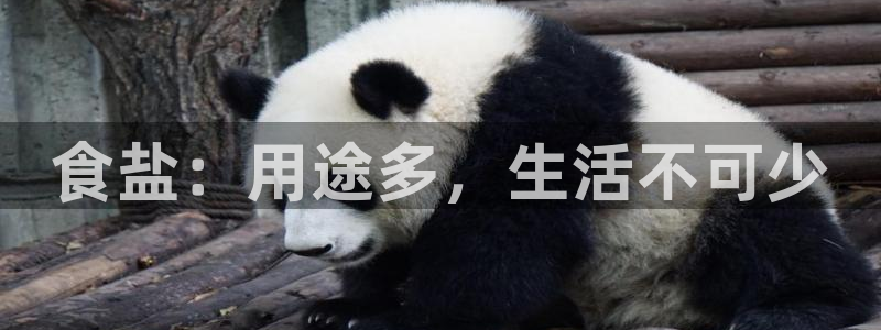 威九国际app网站