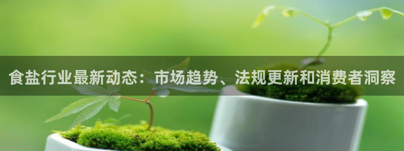 威九国际演员表