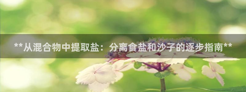 威九国际w98