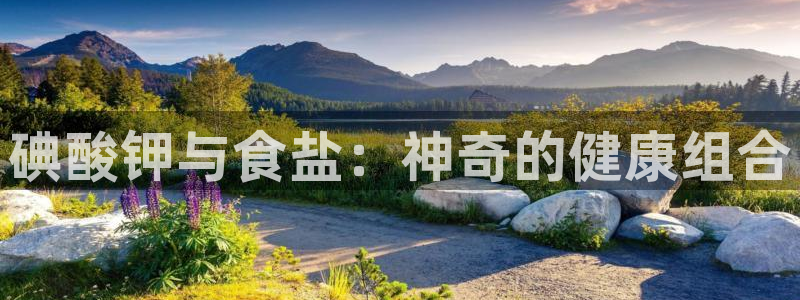 威九国际女主角