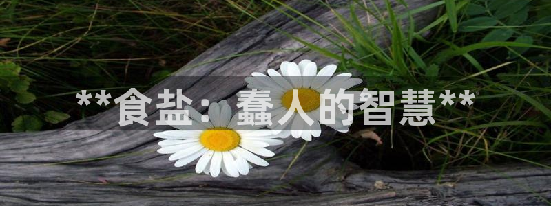 威九国际app客服电话号码