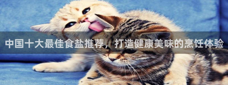 威九国际清砖码头在哪