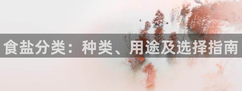 威九国际网站链接怎么打开
