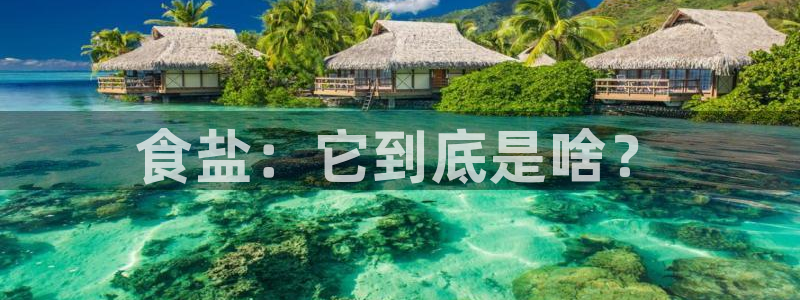 威九国际v96242cc官网版