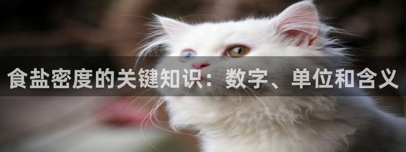 威九国际w98