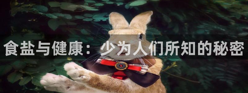 威九国际