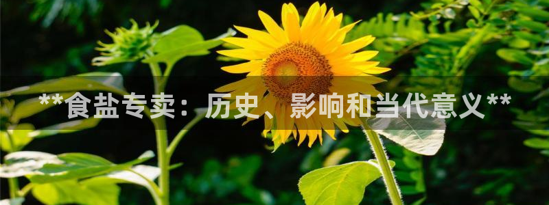 威九国际66cm
