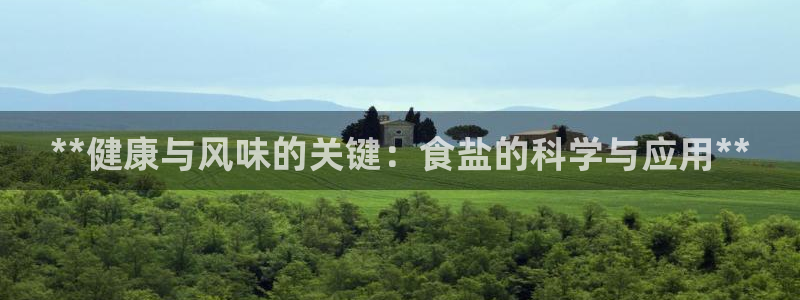 威九国际H