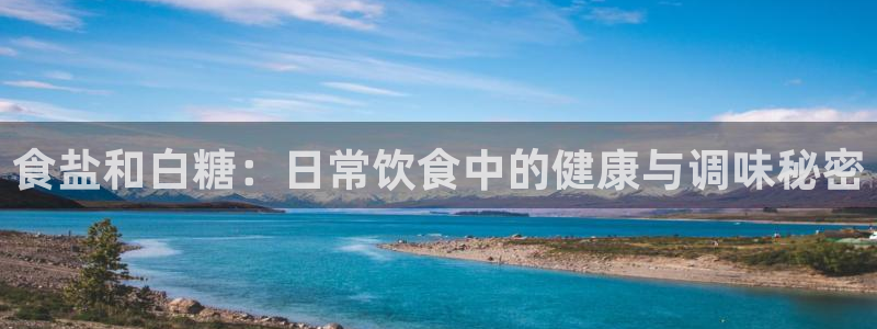 威九国际v96BET