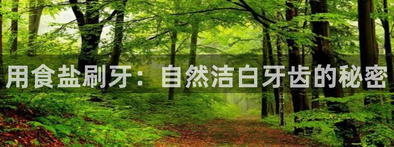 威九国际v96242cc官网版
