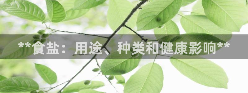 威九国际精免费下载