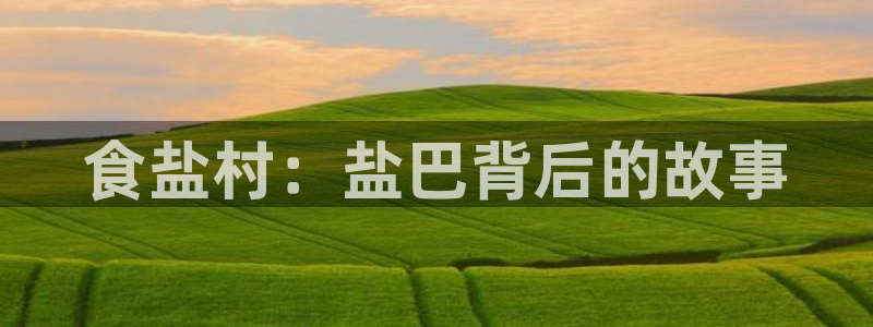 威九国际女主名字
