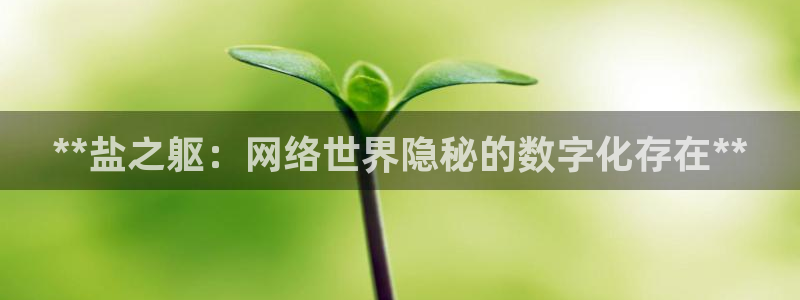 威九国际体育