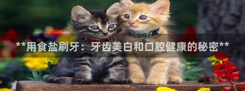 保定威九网络科技有限公司招聘