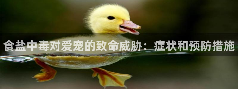 威九国际网站官网
