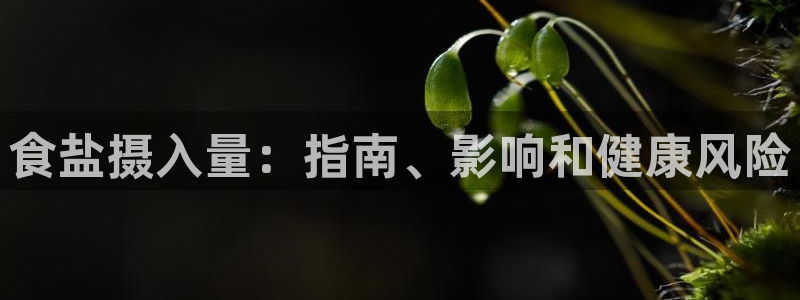 威九国际78mapp官网版下载