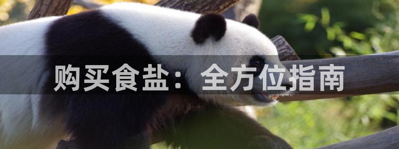威九国际取款机怎么取