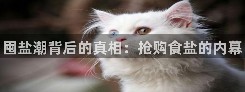 威九国际FT