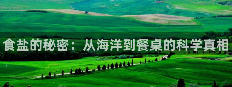 威九国际网站客服电话多少号码