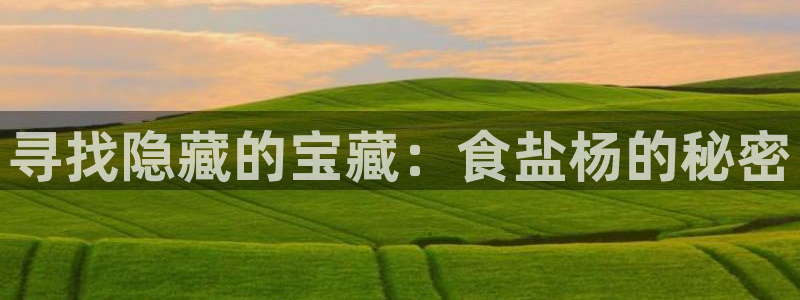 威九国际男主
