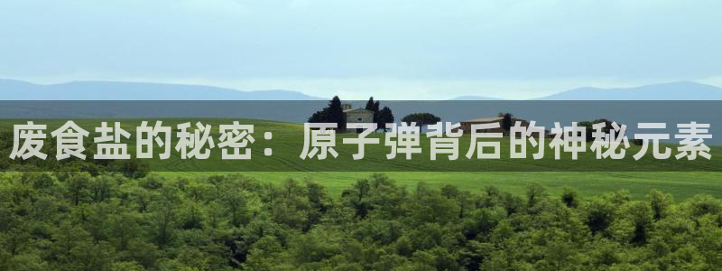 威九国际APP大全