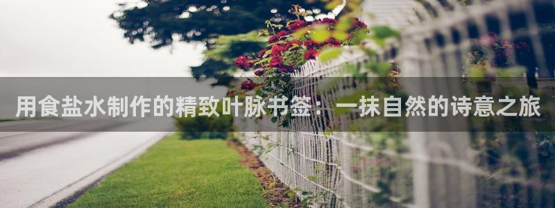 威九国际海域