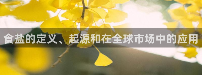 威九国际官网登录入口