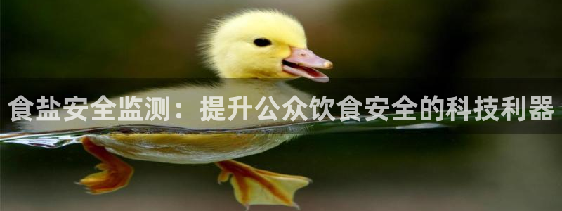 威九国际网站更新了吗