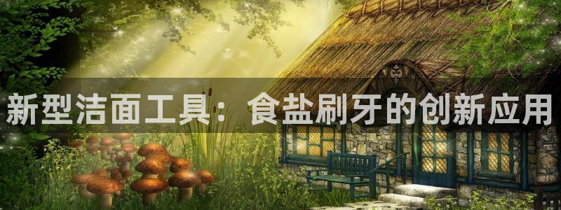 威九国际下载官网app