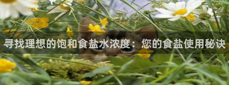 78mapp威九国际神曲口服液