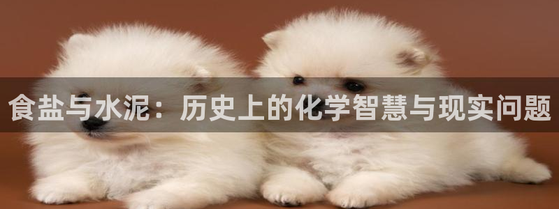 威九国际游戏app网址