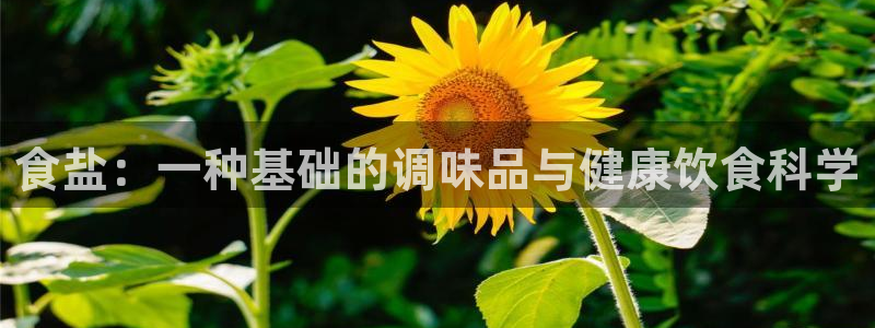 威九国际官网版下载