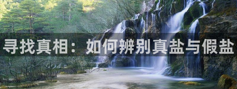 威九国际旗下艺人都有谁