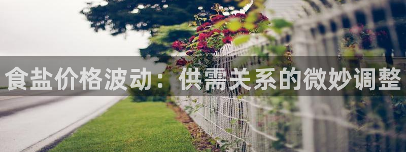 威九国际66m免费版