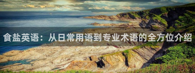 威九国际官方入口官网：食盐英语：从日常用语到专业术语的全方位