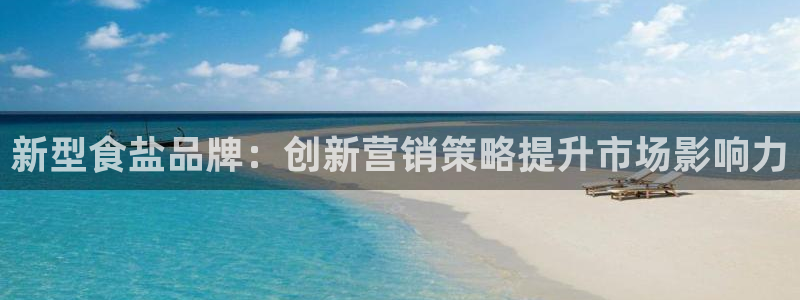 威九国际ppt免费