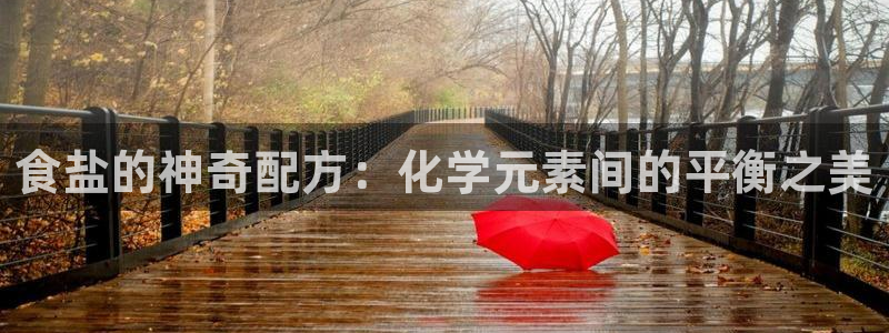 威九国际空降服务怎么样
