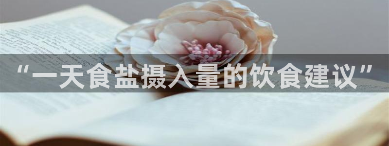 威九国际AN