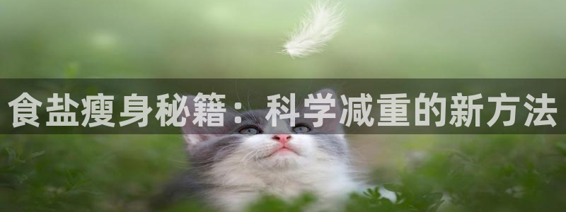 威九国际ppt免费吗