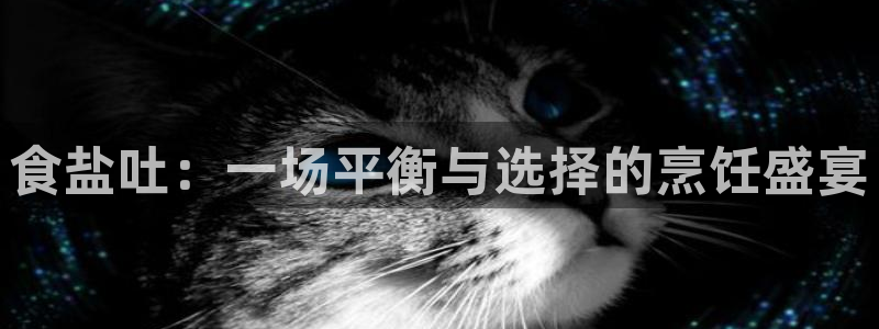 威九国际网站怎么样知乎：食盐吐：一场平衡与选择的烹饪盛宴