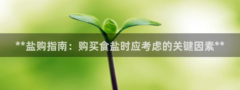 威九国际ppt免费下载