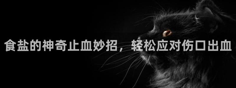 威九国际66m66m电影