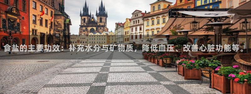 威九国际官方入口官网