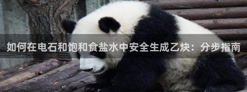 威九国际女演员名单介绍