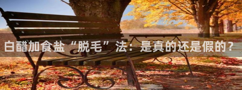 威九国际网站传媒招聘